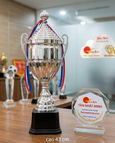 Cúp lưu niệm kim loại BẠC MỚI Cao 43 cm