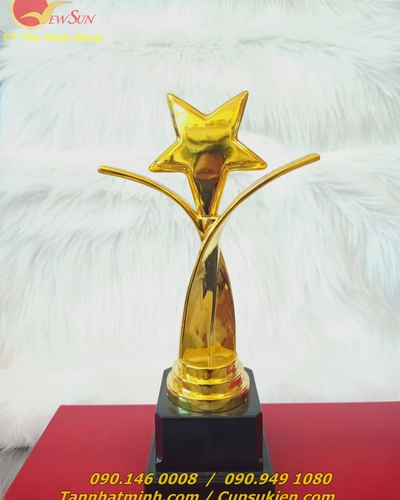 Cúp lưu niệm thân nhựa 4