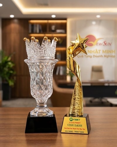 Làm Cúp Trao Thưởng - Nơi Đặt Làm Giá Rẻ Uy Tín