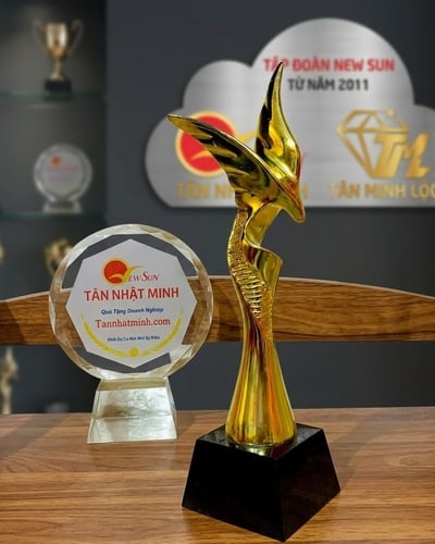 Cúp lưu niệm 17