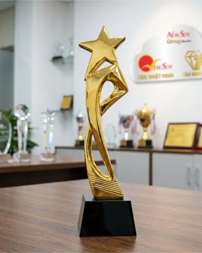 Cúp lưu niệm Ngôi sao đẹp 2