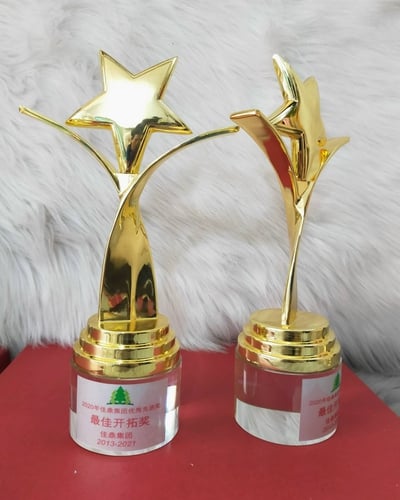 Cúp lưu niệm 20 - thân kim loại 