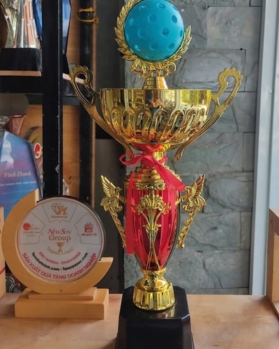 Cúp Nhựa Pickleball Đẹp - Mẫu Đẹp Được Ưa Chuộng (4)
