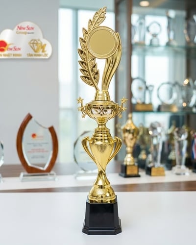 Cúp Nhựa giá rẻ, cúp vinh danh đẹp 2