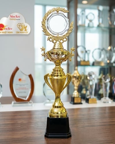 Cúp Nhựa giá rẻ, cúp vinh danh đẹp 1