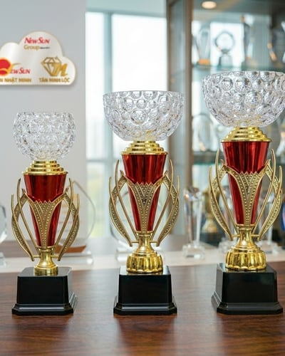 Cúp Nhựa giá rẻ, Đầu Chén Pha Lê 