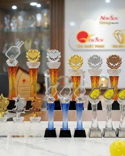 Cúp Pickleball pha lê Đẹp - (25)