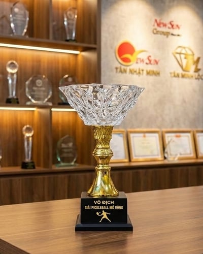 Làm - Mẫu Cúp Pickleball Mới - Sản Xuất Theo Yêu Cầu (2)