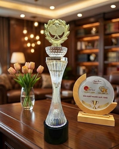 Cúp Pickleball pha lê Đẹp - (14)