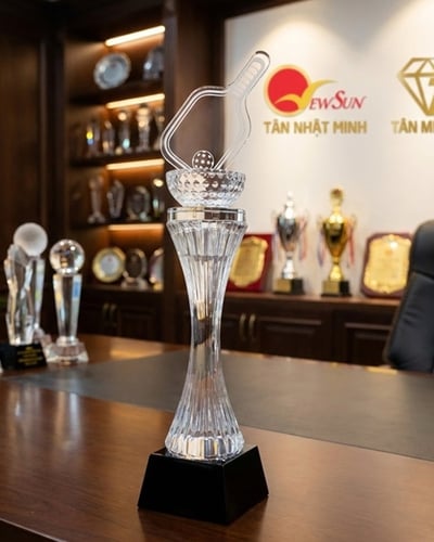 Cúp Pickleball pha lê Đẹp - (13)