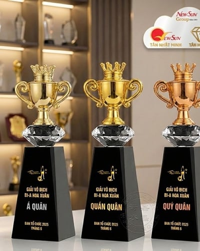Cúp Pickleball pha lê Đẹp - (19)