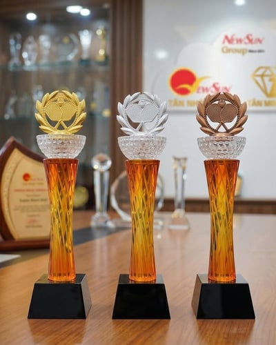 Cúp Pickleball pha lê Đẹp - (26)