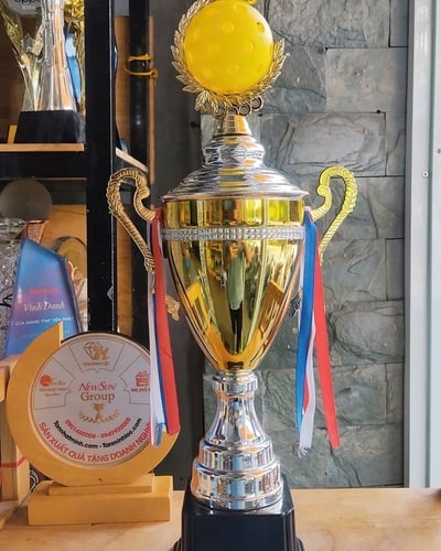 Cúp Pickleball Kim Loại Cho Giải Thể Thao (2)