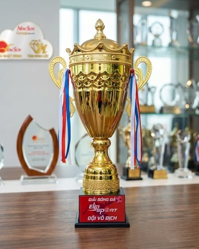Cúp thể thao, cúp kim loại - TO VIP - 64cm