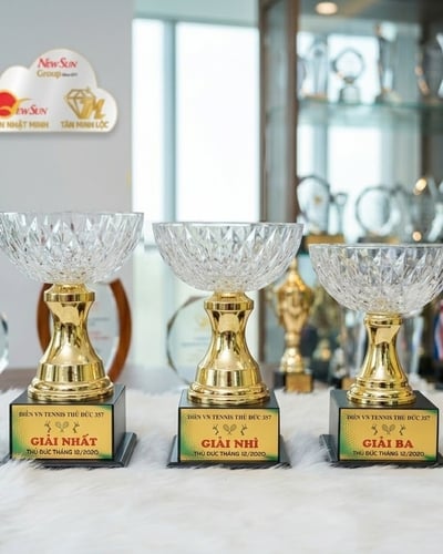 Cúp kim loại tô Pha lê 3 Size