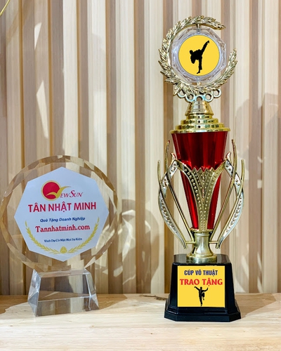 TOP 10 CÚP VÕ THUẬT - Nơi Làm Bán Cúp Võ Thuật Đẹp Rẻ