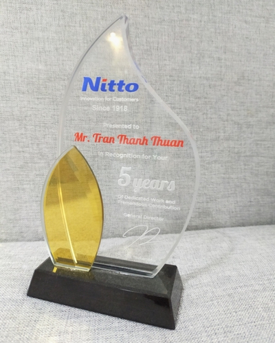Cúp kỷ niệm chương Pha lê đẹp  In nhanh 11