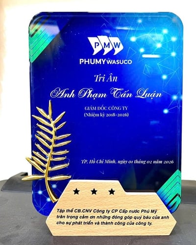 Mẫu kỷ niệm chương Pha lê chữ nhật cành cọ