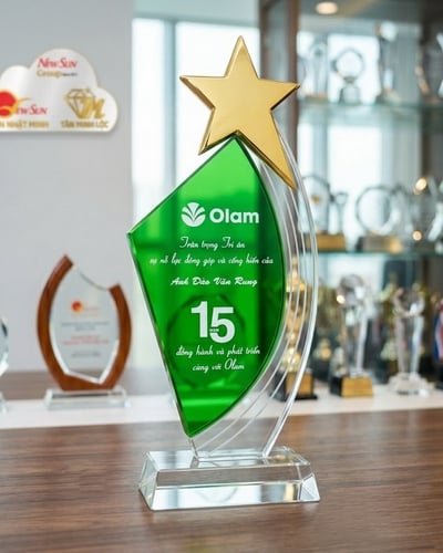 Cúp kỷ niệm chương pha lê ngôi sao