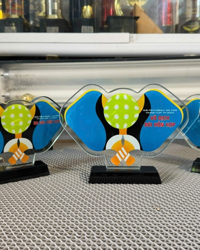 Kỷ Niệm Chương Thủy Tinh Pickleball - Sản Xuất Theo Yêu Cầu