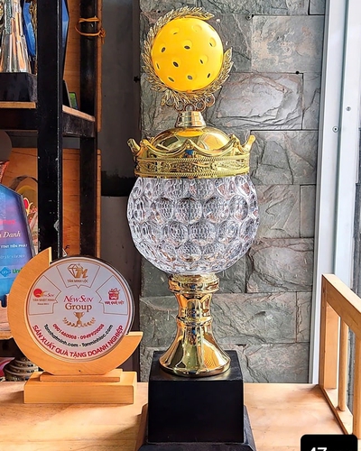 Cúp Pickleball Kim Loại Cho Giải Thể Thao (3)