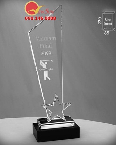 Cúp pha lê sản xuất VN - 22