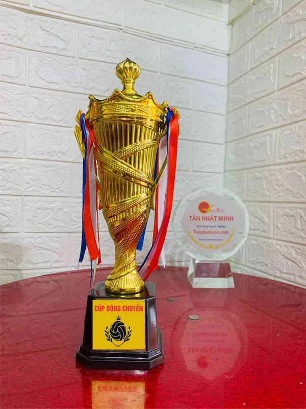Mẫu Cúp Bóng Chuyền Đẹp (4)