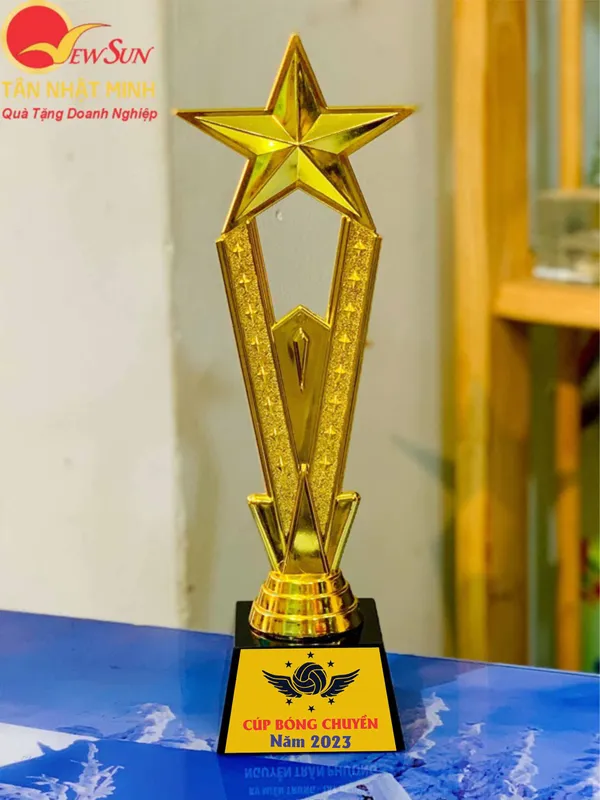 Mua Cúp Bóng Chuyền Giá Rẻ (6)