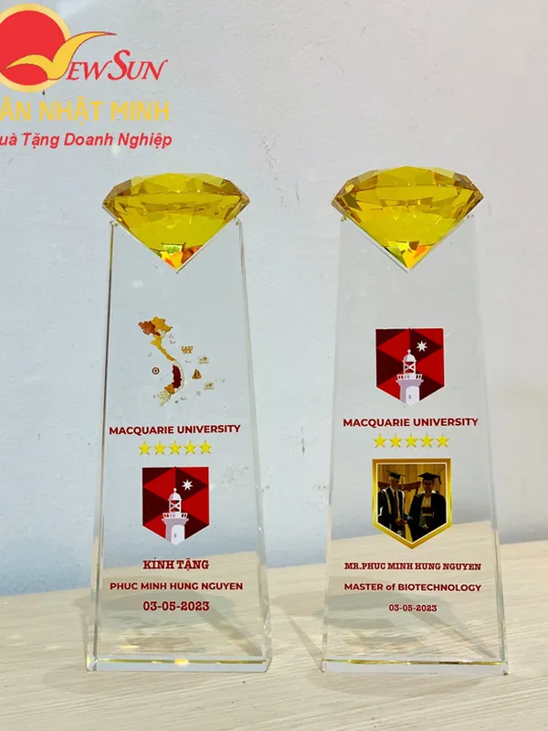 Cúp pha lê nhập -51