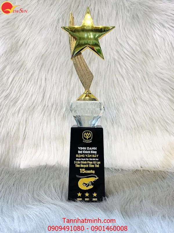 Cúp pha lê sản xuất VN - 30