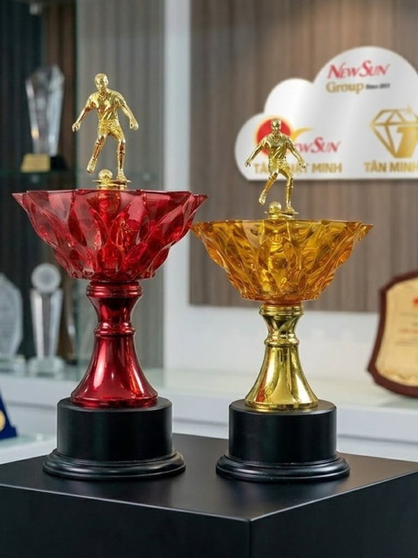 Cúp Bóng Đá Lưu Niệm Đẹp 6