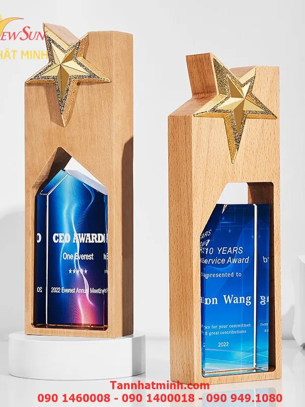 Cúp vinh danh SIÊU ĐẸP -10