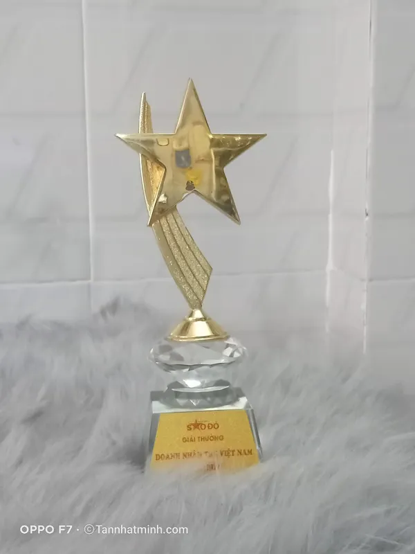 Cúp pha lê nhập -59