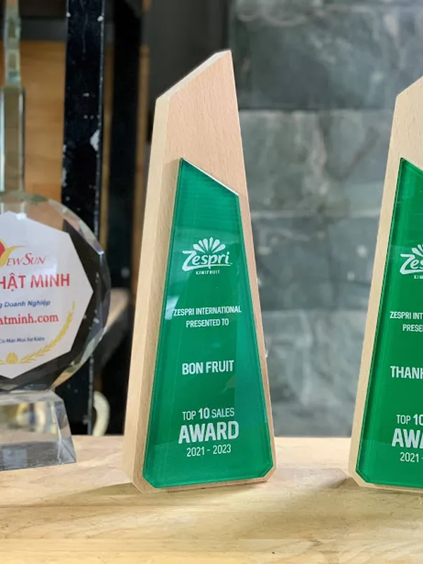 Cúp vinh danh SIÊU ĐẸP - 25