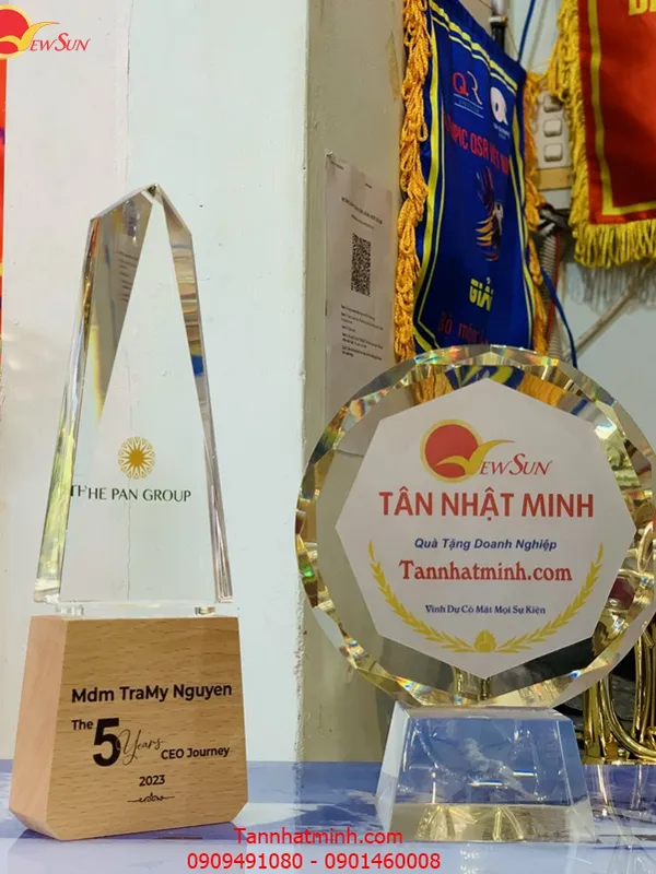 Cúp vinh danh SIÊU ĐẸP - 6
