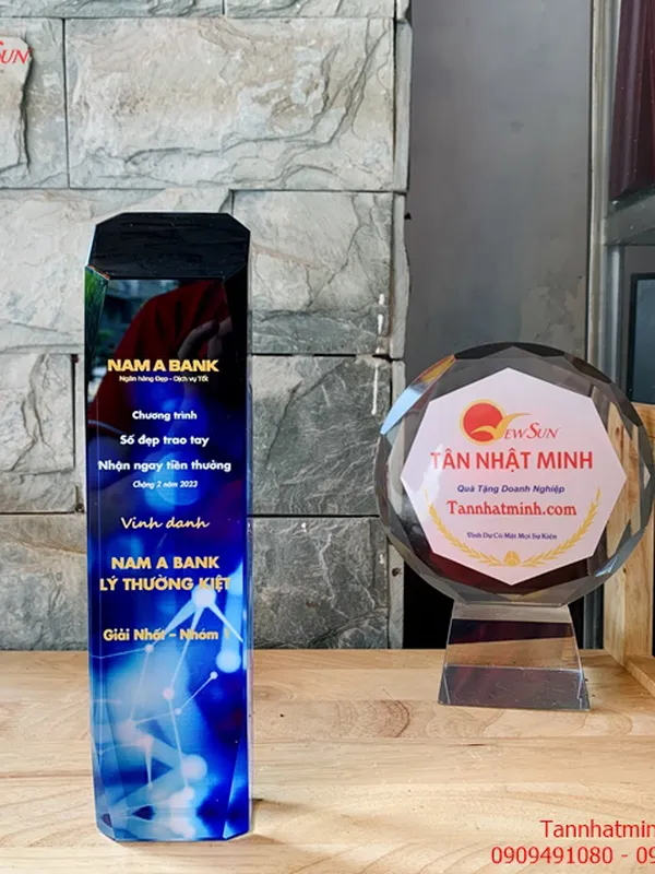 Cúp vinh danh SIÊU ĐẸP -18