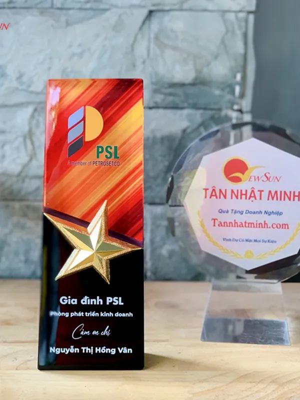 Cúp vinh danh SIÊU ĐẸP -12