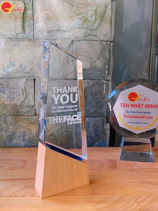 Cúp vinh danh SIÊU ĐẸP - 8