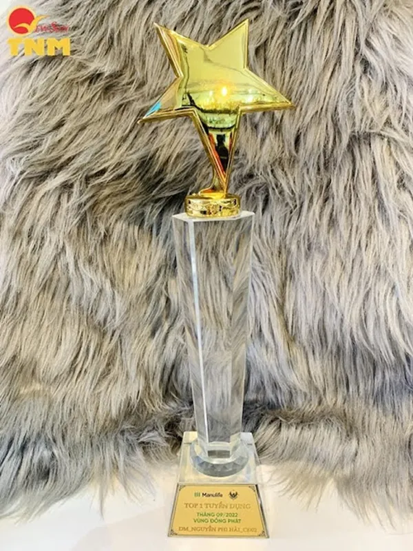 Cúp pha lê nhập -46