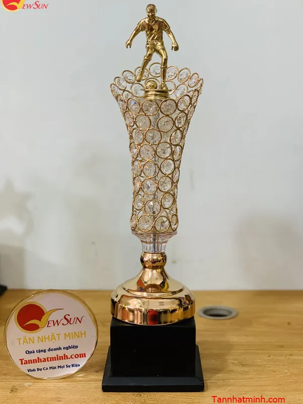 Cúp bóng đá đẹp, cao cấp 64