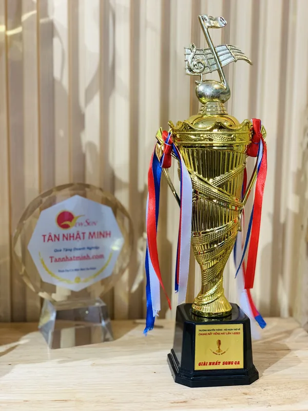 Cúp pha lê âm nhạc 9