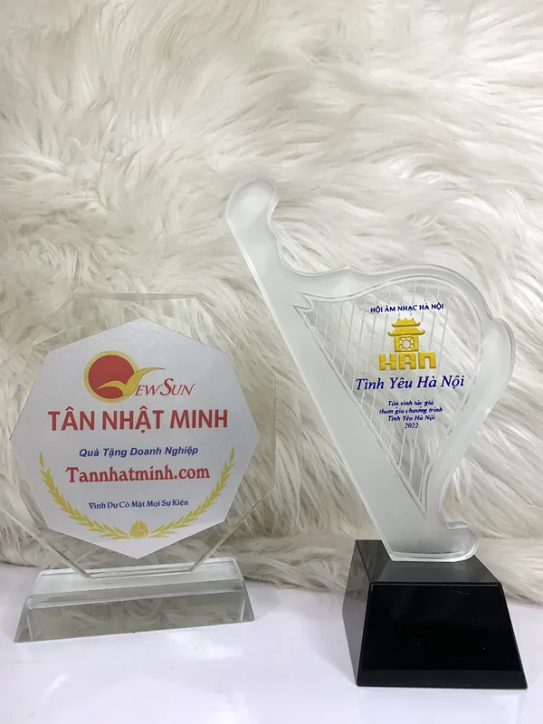 Cúp pha lê âm nhạc 5