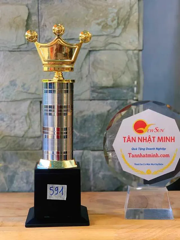 Giá Cúp Ấn Độ, Cúp Vinh Danh Lưu Niệm Rẻ Đẹp (591)