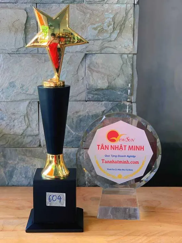 Mua Cúp Ấn Độ, Cúp Vinh Danh Lưu Niệm Giá Rẻ (604)