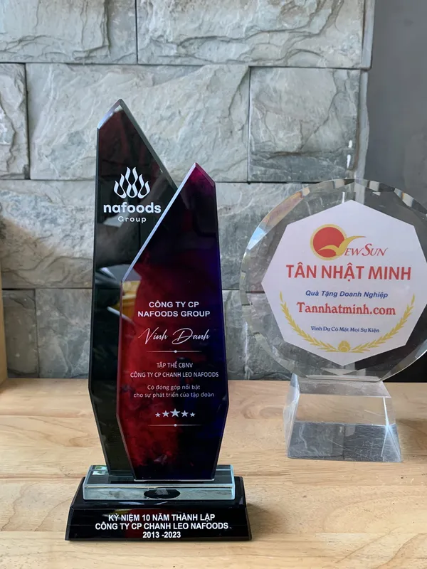 Cúp vinh danh SIÊU ĐẸP -14