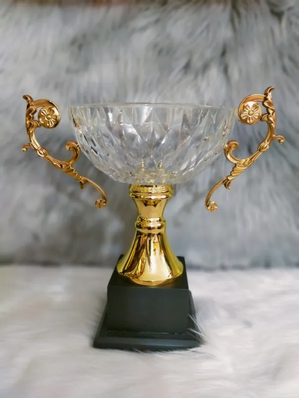 Cúp ĐẸP 2021 (6)