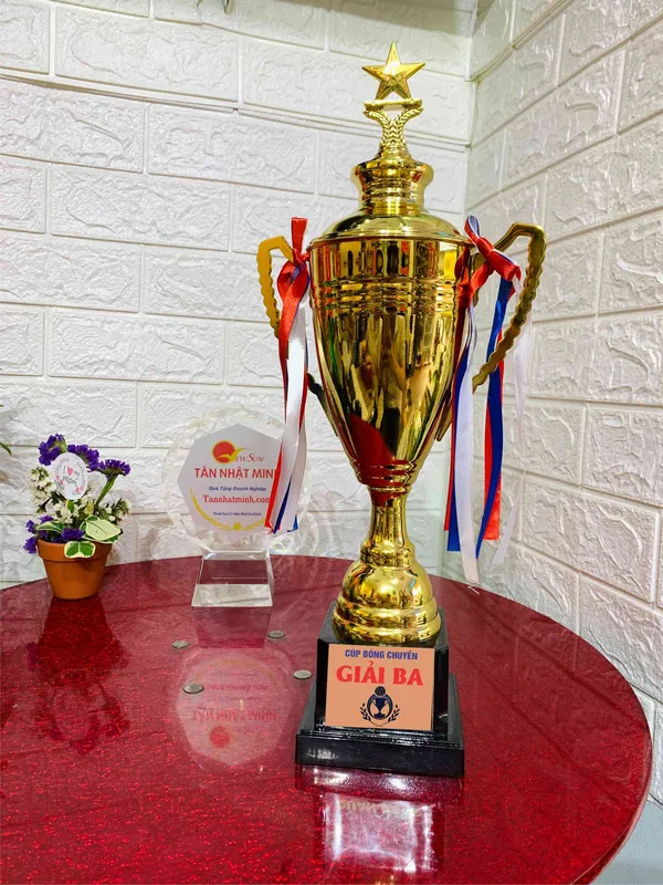 Làm Cúp Bóng Chuyền, Mẫu Cúp Đẹp (7)