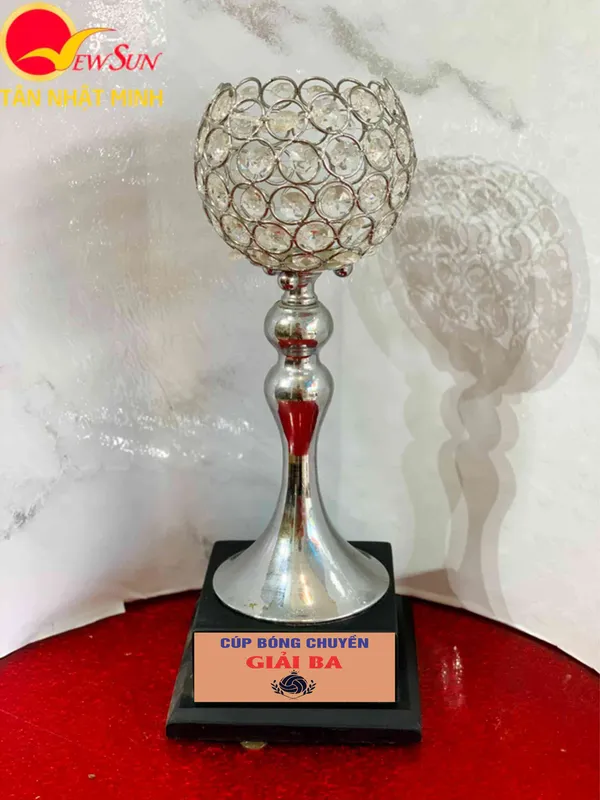 Giá Mẫu Cúp Bóng Chuyền Rẻ Đẹp (10)