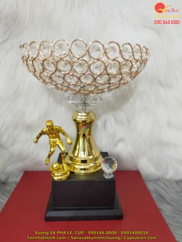 Cúp bóng đá nhập CAO CẤP 61
