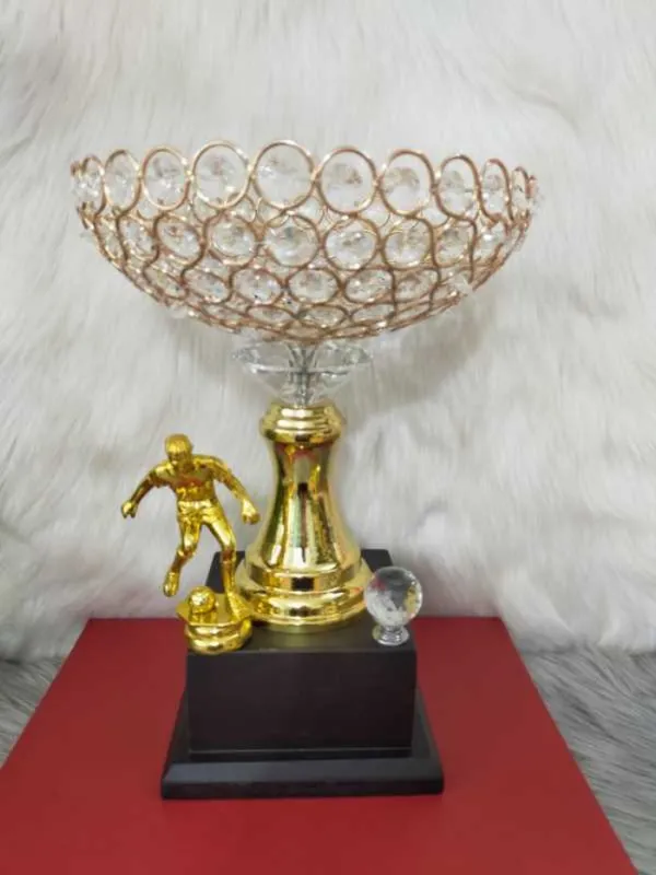 Cúp bóng đá pha lê ĐẸP (14)